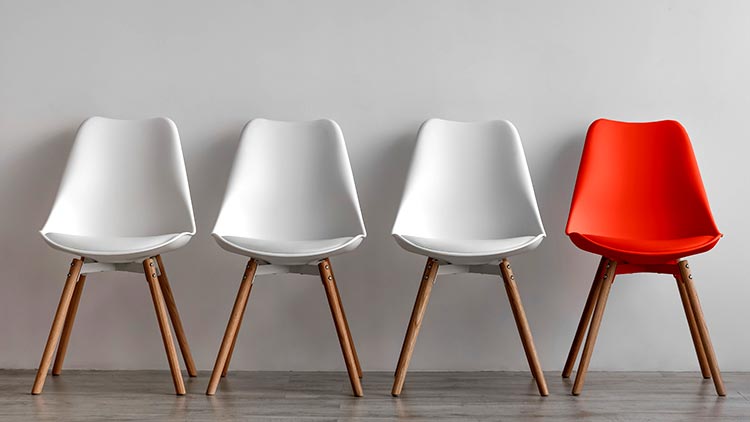 Karriere bei UBM Agrar