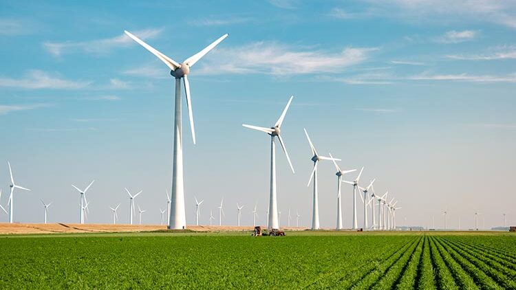 Nachhaltigkeit Klima- und Umweltschutz