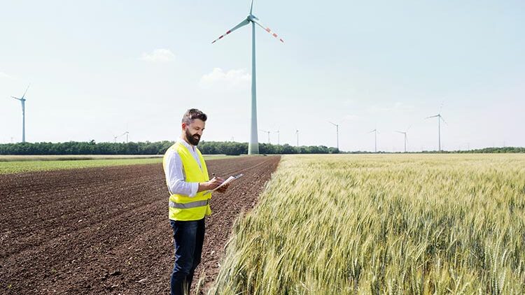Nachhaltigkeit Partnerwahl