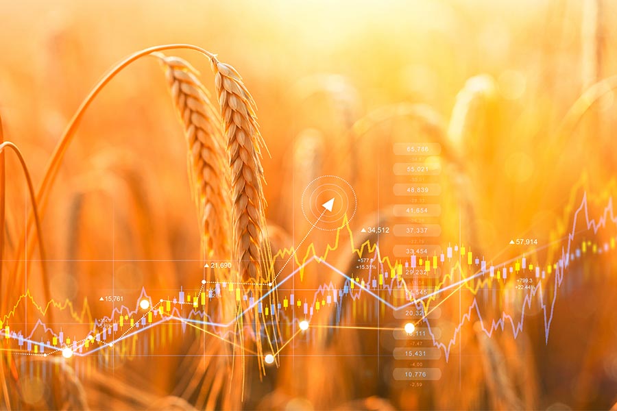 UBM Agrar Absicherungsstrategien